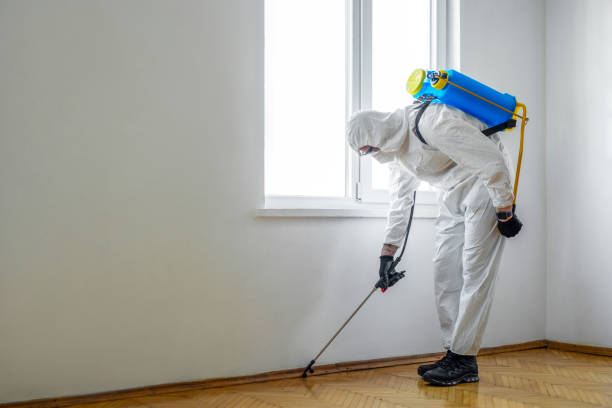 Professional Pest Control in Iselin, NJ